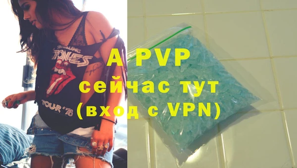 дурь Ахтубинск