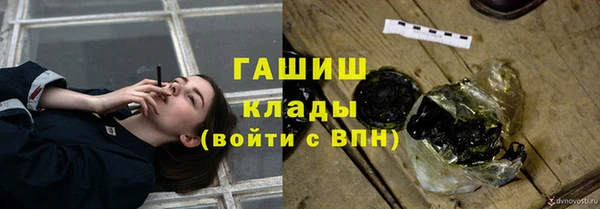 стаф Дмитров