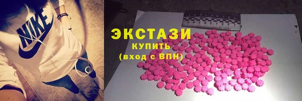 стаф Дмитров