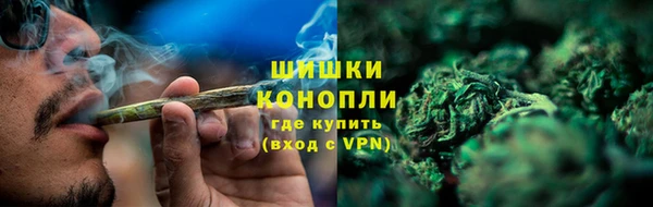 стаф Дмитров