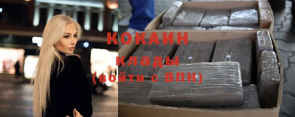 стаф Дмитров
