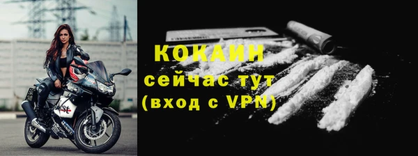 ПСИЛОЦИБИНОВЫЕ ГРИБЫ Медвежьегорск