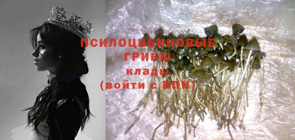 каннабис Дмитриев