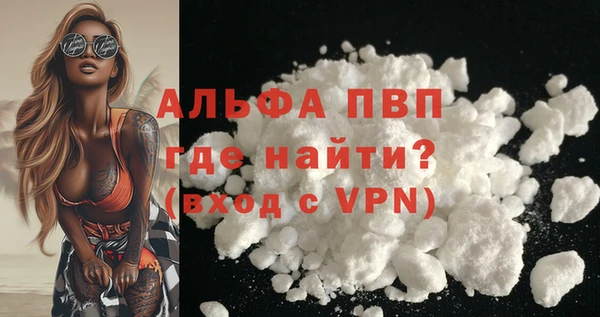 стаф Дмитров