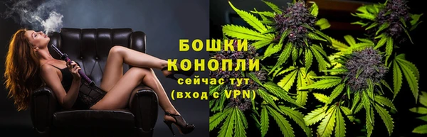 стаф Дмитров