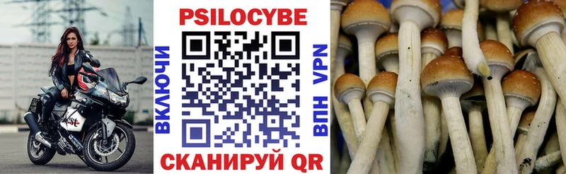 mega рабочий сайт Елабуга Галлюциногенные грибы Psilocybe где можно купить