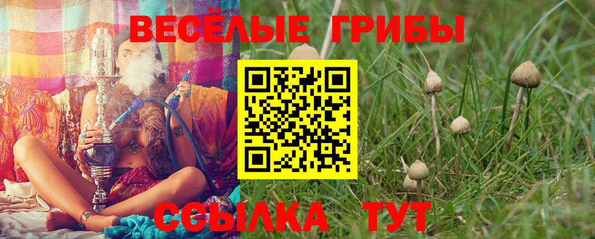 Галлюциногенные грибы прущие грибы  Елабуга  Галлюциногенные грибы мухоморы 