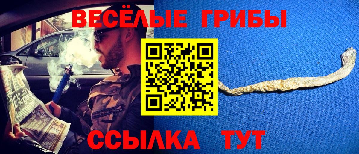 Галлюциногенные грибы мухоморы Елабуга