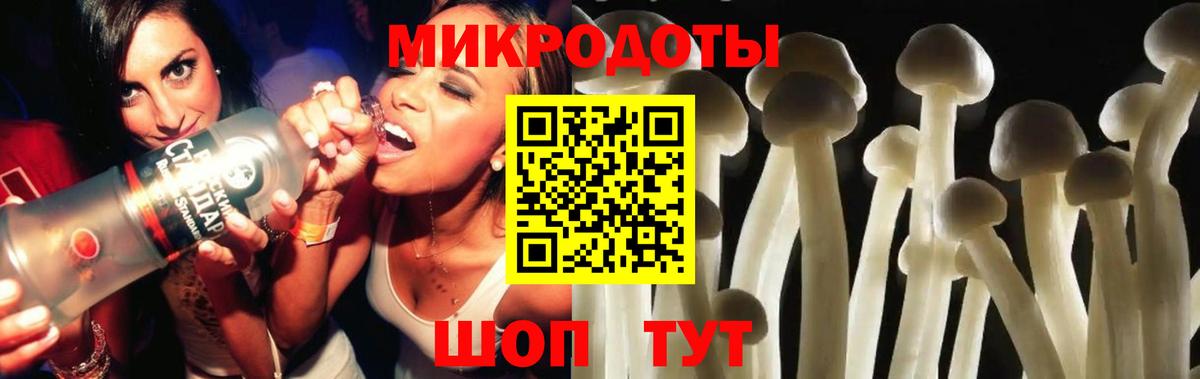 Псилоцибиновые грибы MAGIC MUSHROOMS  Галлюциногенные грибы Psilocybine cubensis  Елабуга  Вход с VPN 